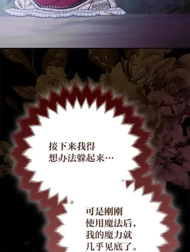 《大公家的狐狸皇女》35.真正的她图48