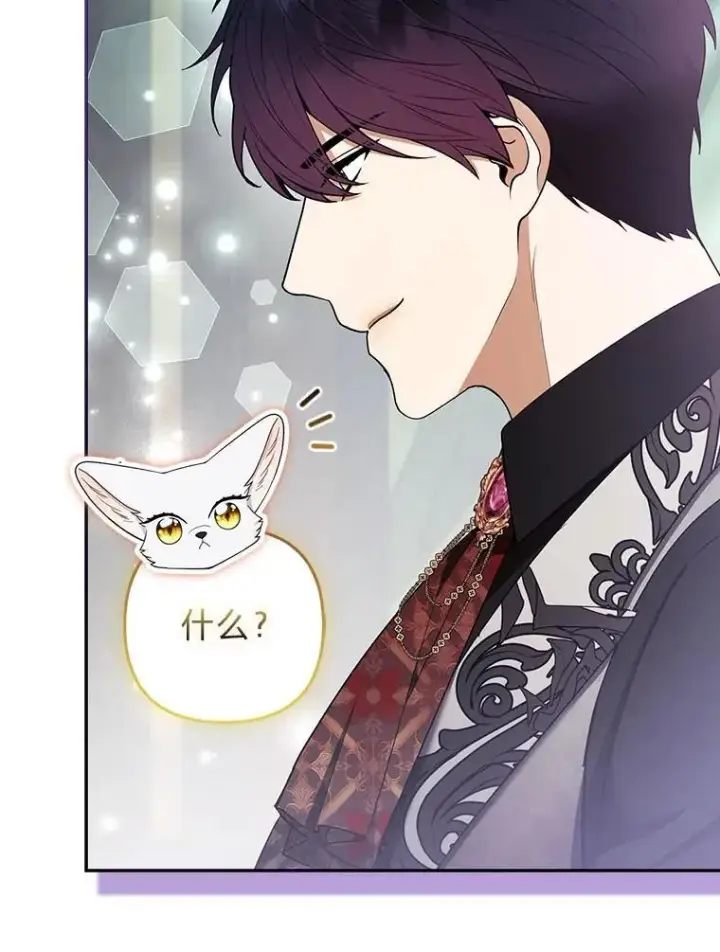 《大公家的狐狸皇女》36.变回去的魔法图44