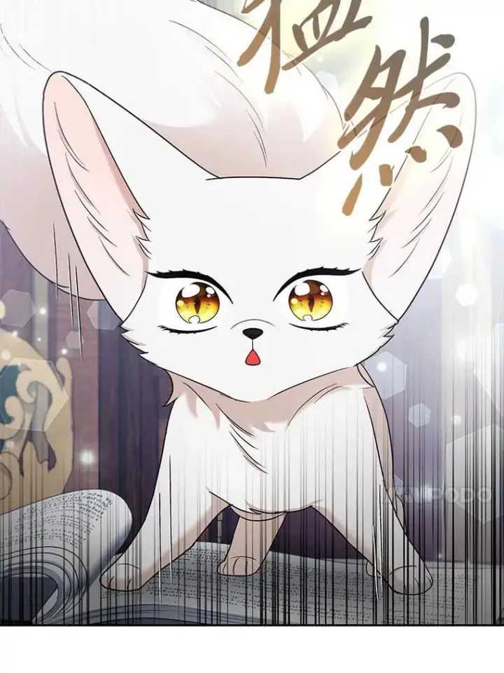 《大公家的狐狸皇女》36.变回去的魔法图46