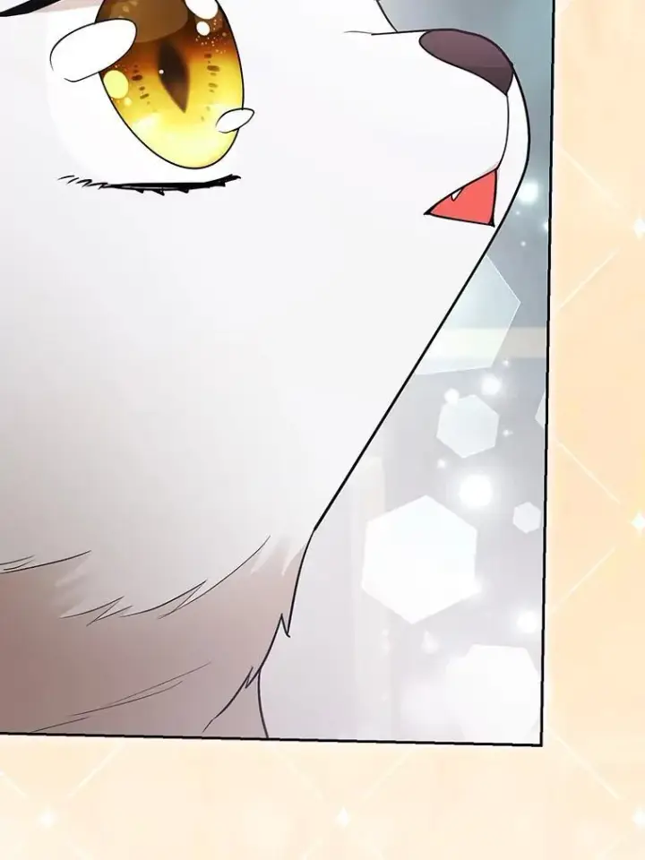 《大公家的狐狸皇女》36.变回去的魔法图50