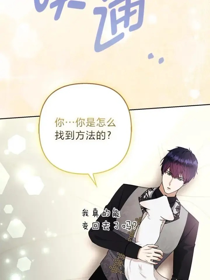 《大公家的狐狸皇女》36.变回去的魔法图54