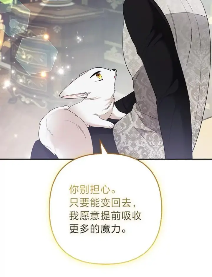 《大公家的狐狸皇女》36.变回去的魔法图63