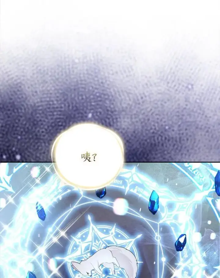 《大公家的狐狸皇女》36.变回去的魔法图92