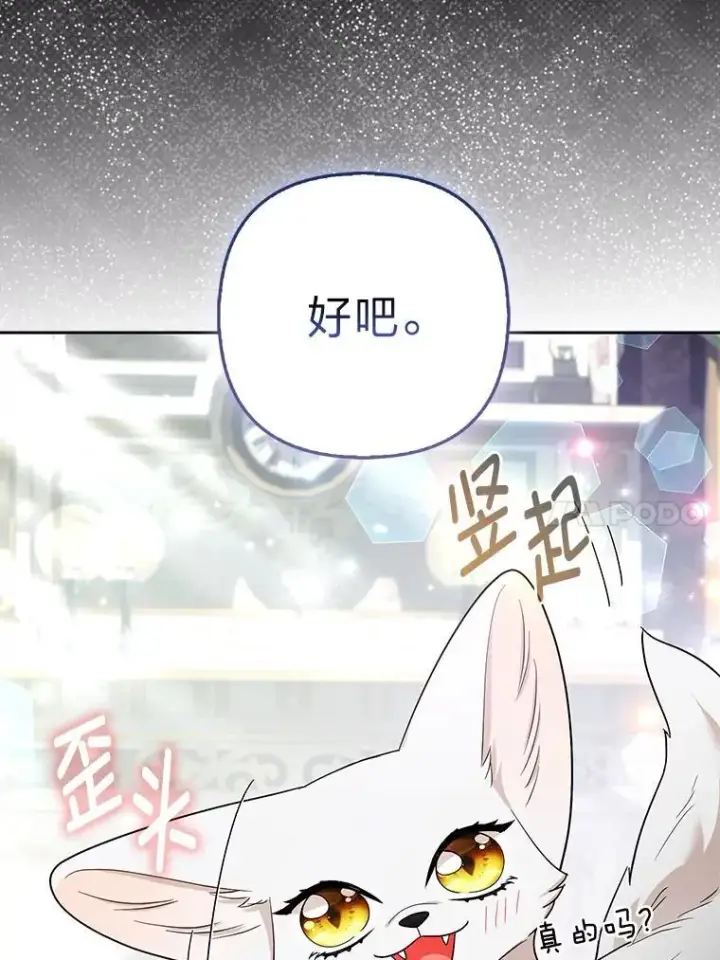 《大公家的狐狸皇女》38.皇帝的异样图103