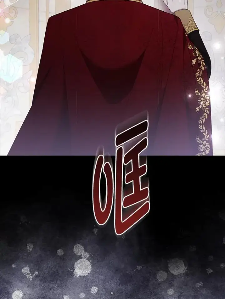 《大公家的狐狸皇女》38.皇帝的异样图49