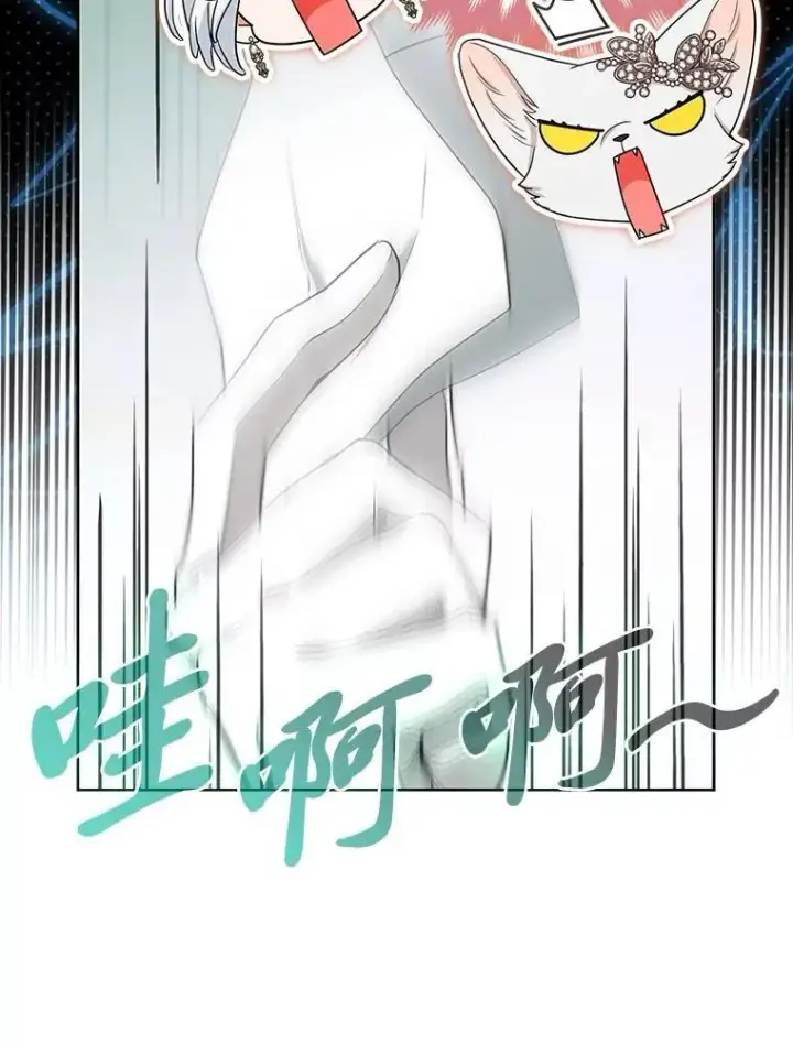 《大公家的狐狸皇女》39.开始义拍图117