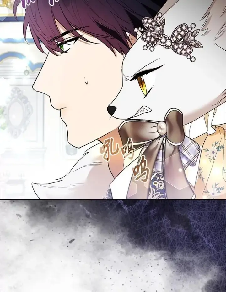《大公家的狐狸皇女》39.开始义拍图42