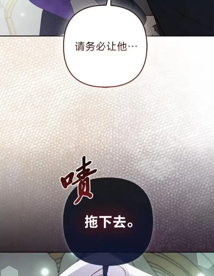 《大公家的狐狸皇女》39.开始义拍图46
