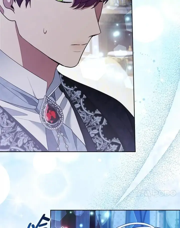《大公家的狐狸皇女》41.新的计划图109