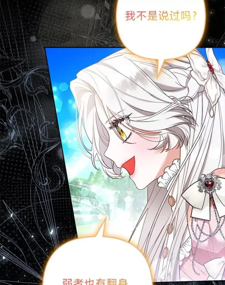 《大公家的狐狸皇女》41.新的计划图3