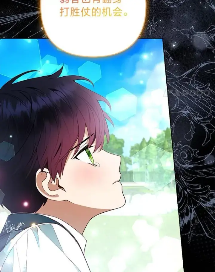《大公家的狐狸皇女》41.新的计划图4