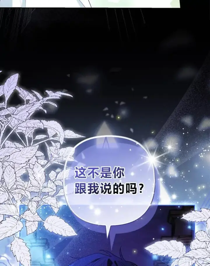 《大公家的狐狸皇女》41.新的计划图5