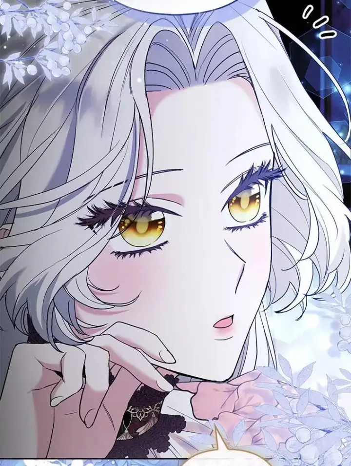 《大公家的狐狸皇女》41.新的计划图57