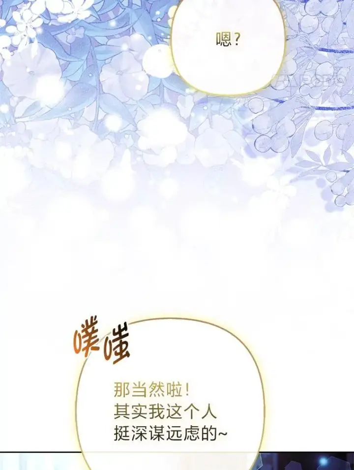 《大公家的狐狸皇女》41.新的计划图58