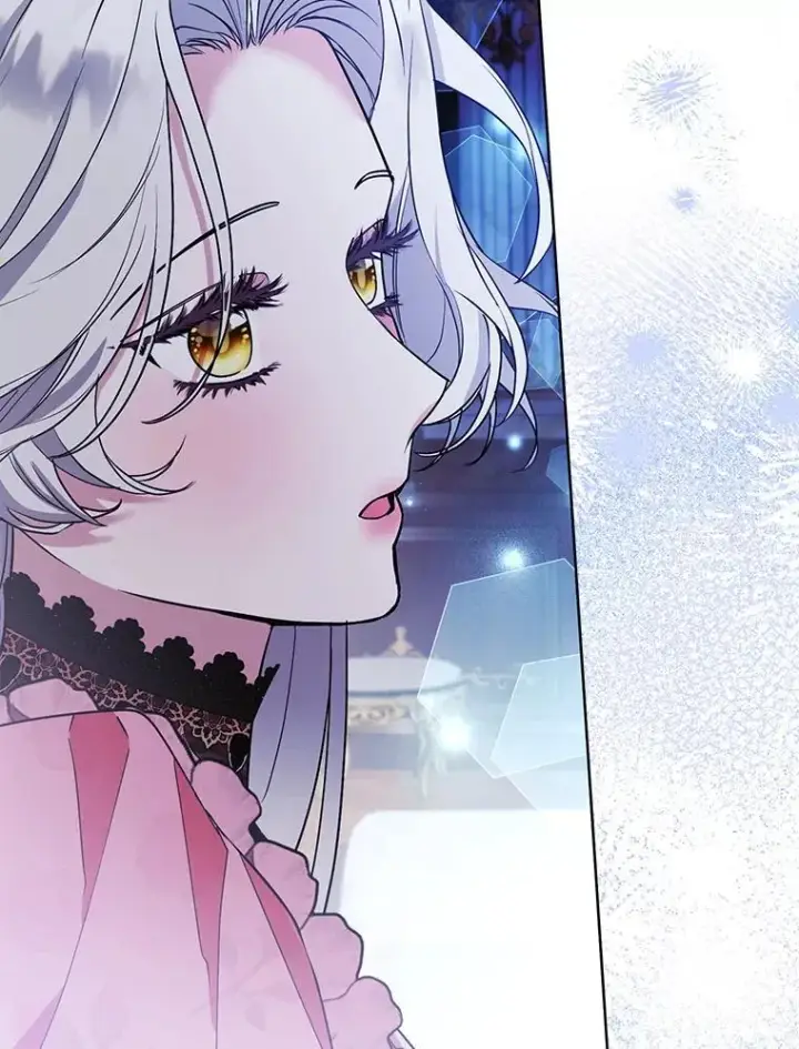 《大公家的狐狸皇女》41.新的计划图70