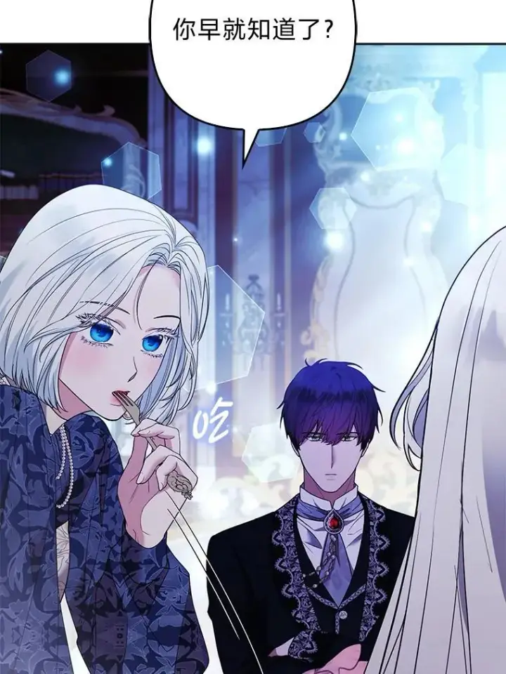 《大公家的狐狸皇女》41.新的计划图85
