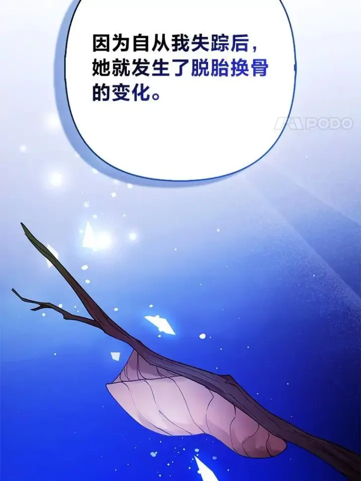 《大公家的狐狸皇女》41.新的计划图87