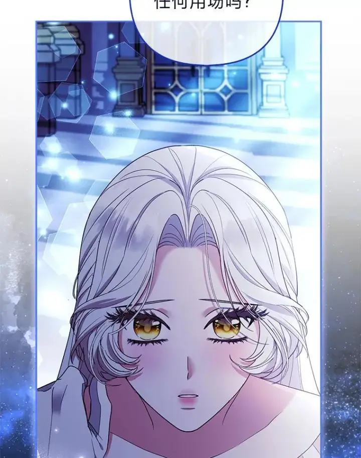 《大公家的狐狸皇女》41.新的计划图9