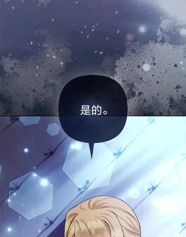 《大公家的狐狸皇女》44.没用的手牌图50