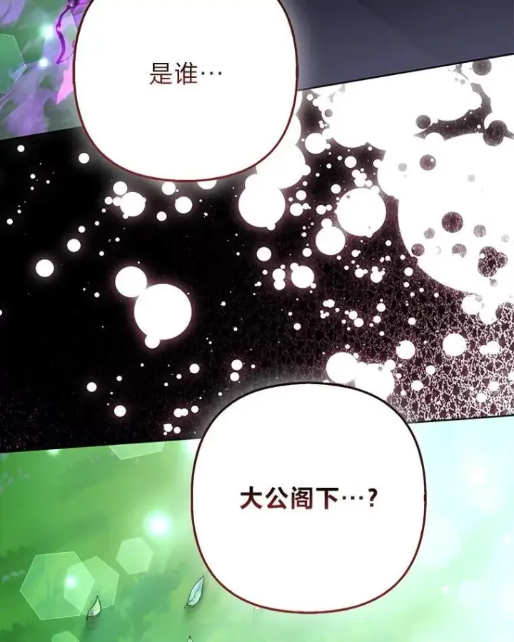 《大公家的狐狸皇女》45.以身入局图103