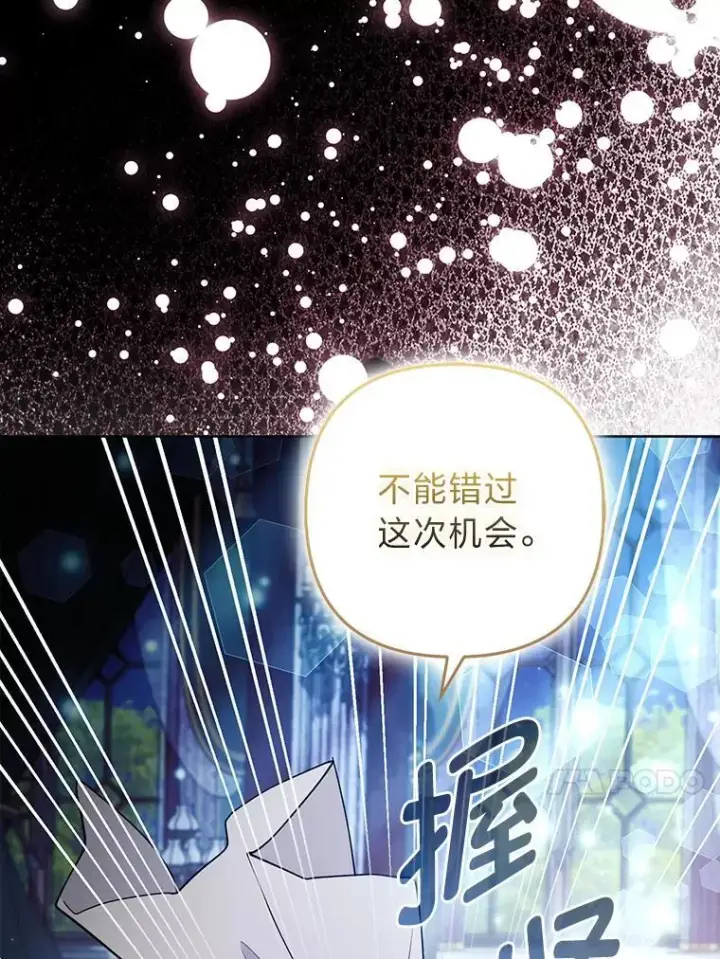 《大公家的狐狸皇女》45.以身入局图64