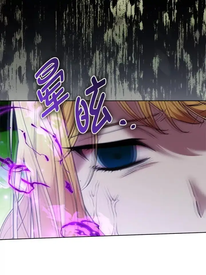 《大公家的狐狸皇女》45.以身入局图99