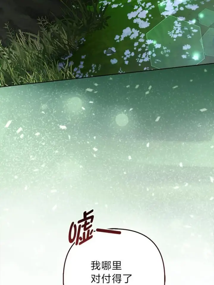 《大公家的狐狸皇女》46.陷入回忆图41