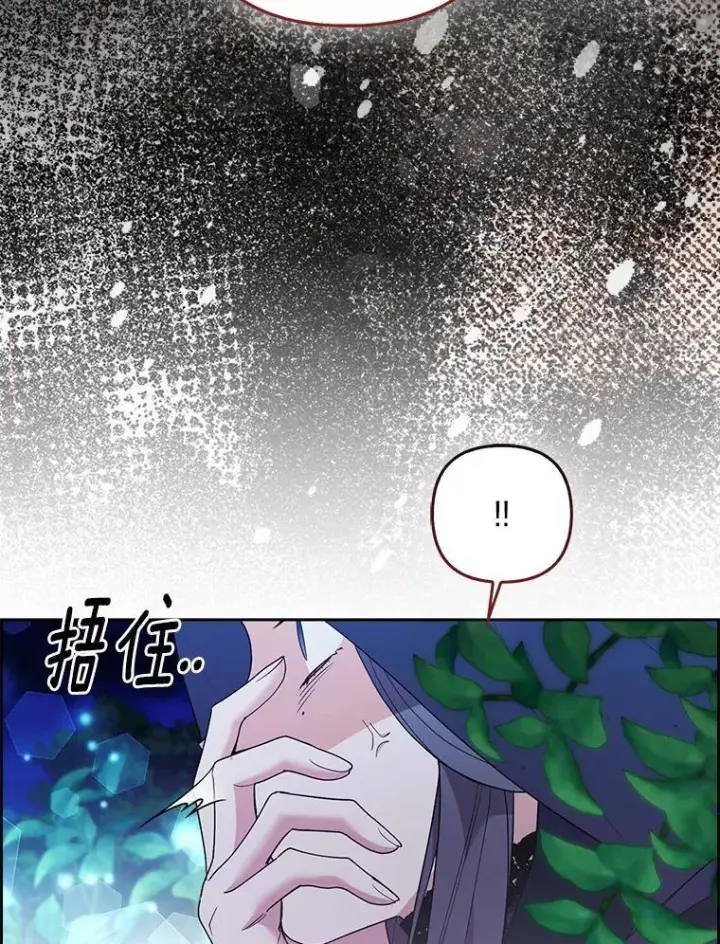 《大公家的狐狸皇女》46.陷入回忆图66