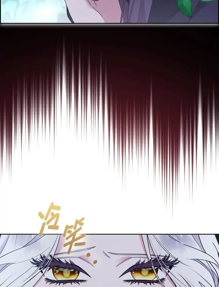 《大公家的狐狸皇女》46.陷入回忆图67