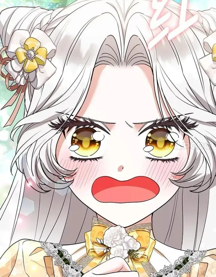 《大公家的狐狸皇女》47.稚嫩的感情图17