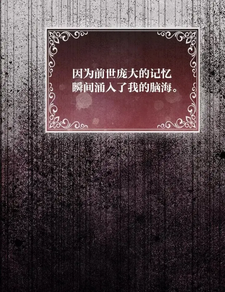 《大公家的狐狸皇女》48.熟悉的小孩图12