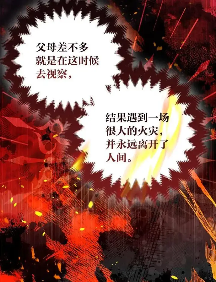 《大公家的狐狸皇女》48.熟悉的小孩图29