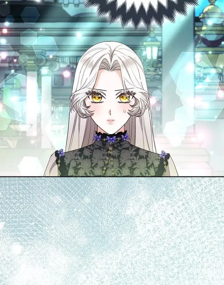 《大公家的狐狸皇女》48.熟悉的小孩图61