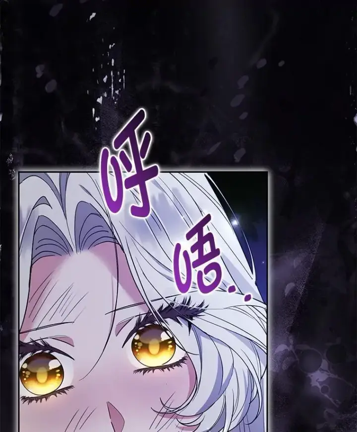 《大公家的狐狸皇女》48.熟悉的小孩图73