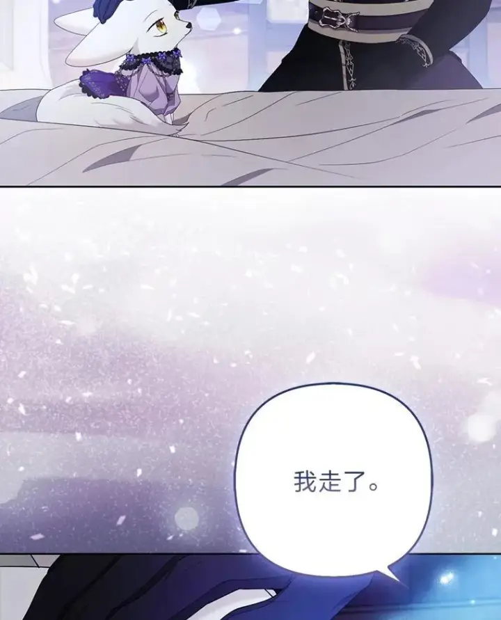 《大公家的狐狸皇女》52.等待哥哥苏醒图26