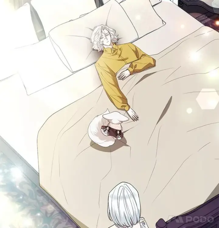 《大公家的狐狸皇女》52.等待哥哥苏醒图32