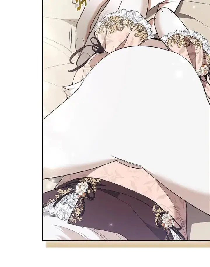 《大公家的狐狸皇女》52.等待哥哥苏醒图41