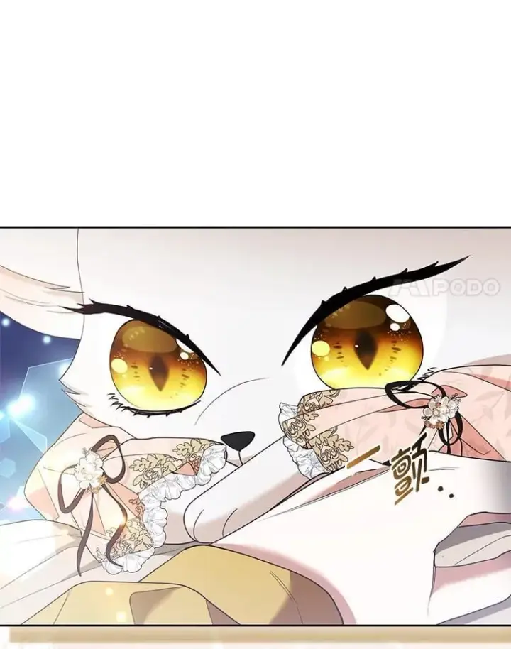 《大公家的狐狸皇女》52.等待哥哥苏醒图42