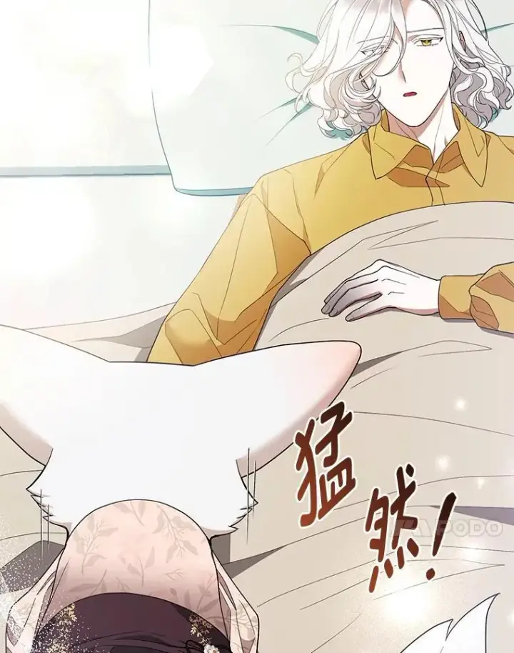 《大公家的狐狸皇女》52.等待哥哥苏醒图45