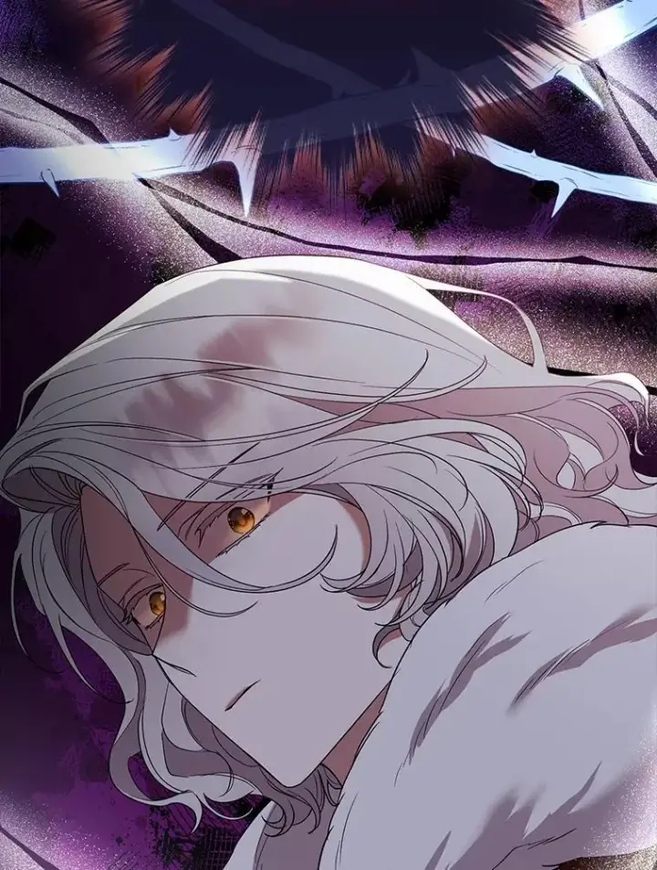 《大公家的狐狸皇女》52.等待哥哥苏醒图54