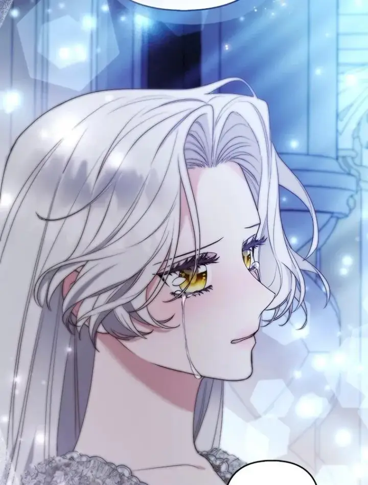 《大公家的狐狸皇女》52.等待哥哥苏醒图93