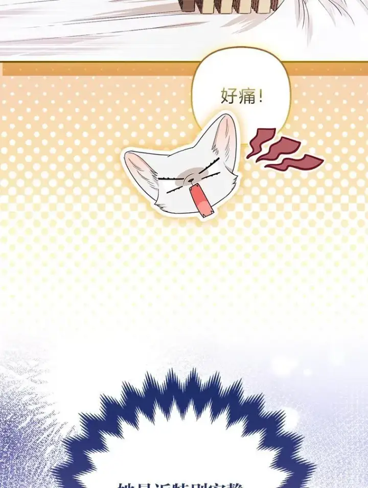 《大公家的狐狸皇女》55.“误会”图27