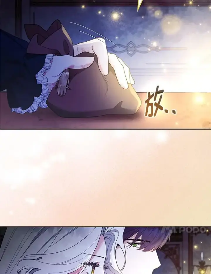 《大公家的狐狸皇女》56.祝你好运图120