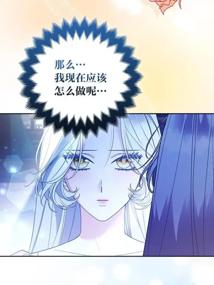 《大公家的狐狸皇女》56.祝你好运图25