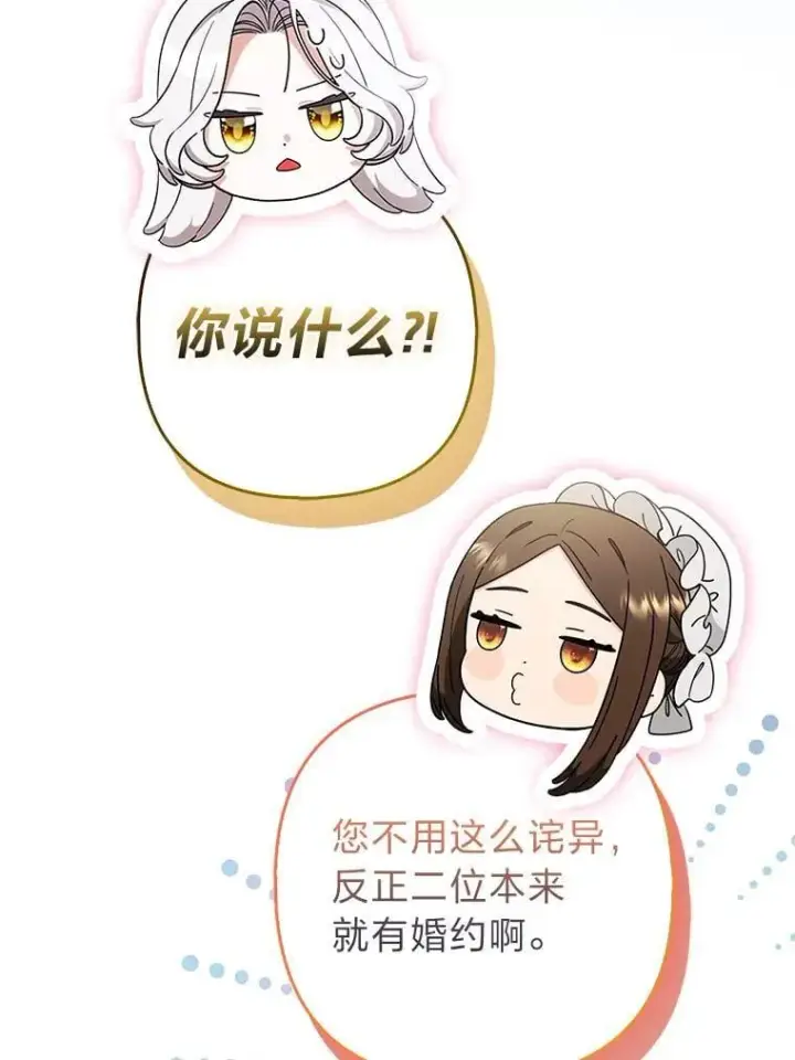 《大公家的狐狸皇女》56.祝你好运图28