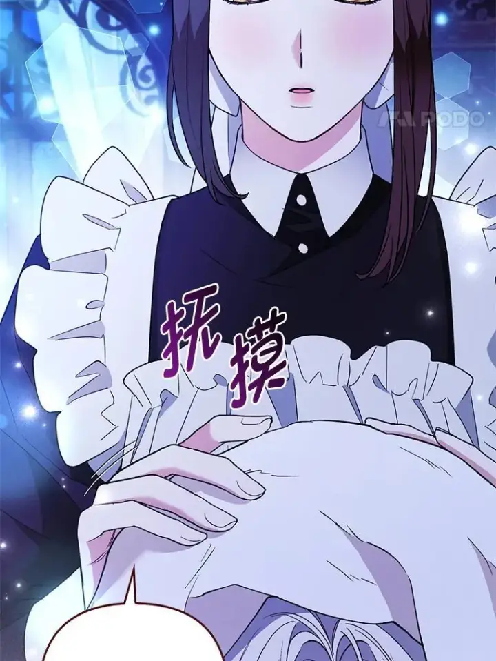 《大公家的狐狸皇女》56.祝你好运图4