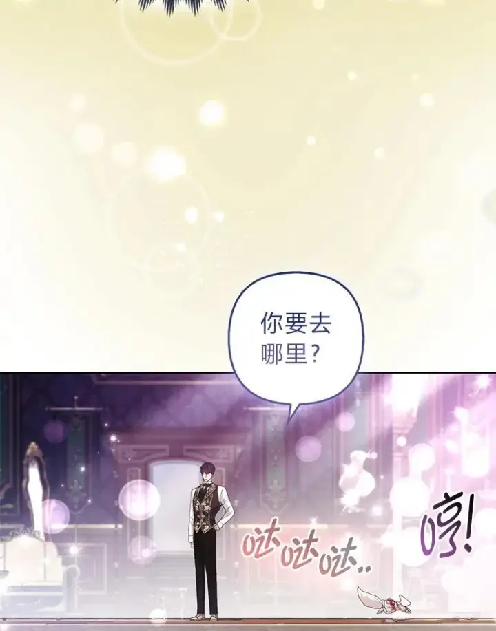 《大公家的狐狸皇女》56.祝你好运图48