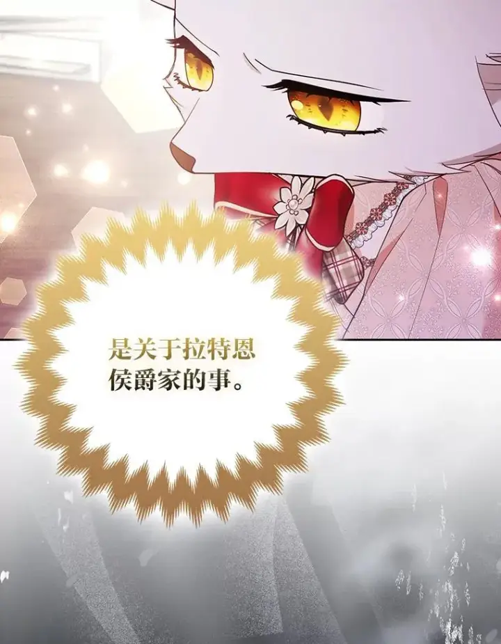 《大公家的狐狸皇女》56.祝你好运图59
