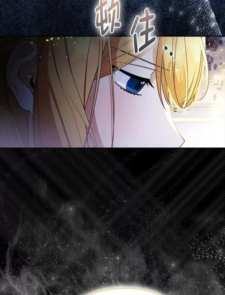 《大公家的狐狸皇女》56.祝你好运图69