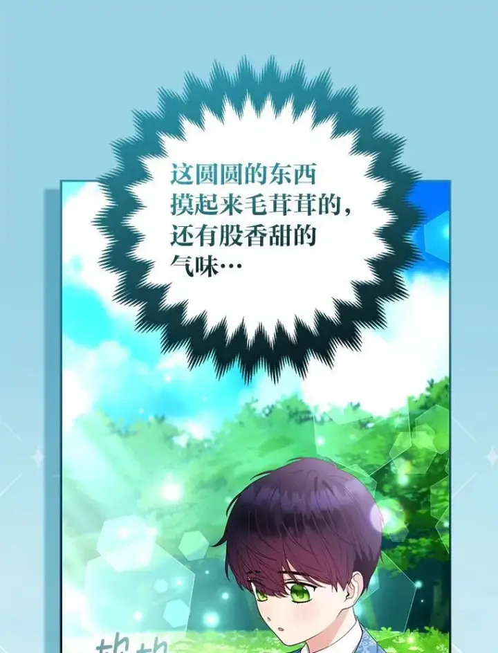 《大公家的狐狸皇女》57.求婚情书图32